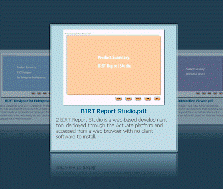 BIRT Interactive PDF